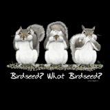 What Birdseed Squirrel T-Shirt